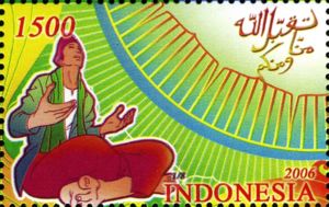 Religions & beliefs (Islam) 